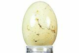 Polished Citron (Lemon) Chrysoprase Egg - Western Australia #312672-1